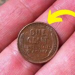 Lincoln Wheat Penny Valued at $8.7 Million