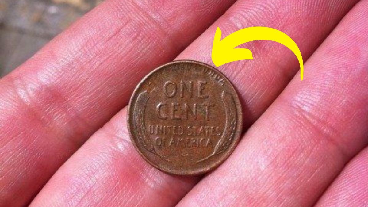 Lincoln Wheat Penny Valued at $8.7 Million