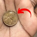 Lincoln Wheat Penny Valued at $6.2 Million